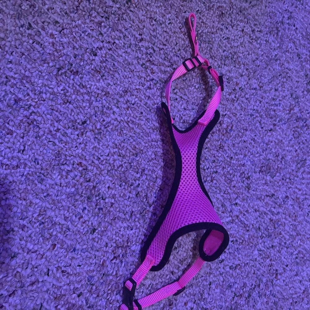 Pink small cat harness